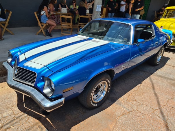 CAMARO-74-(3)